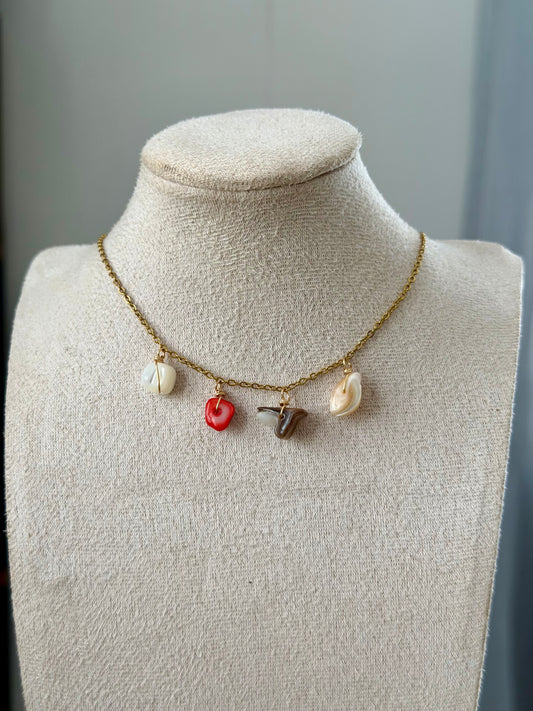 Shell o chain necklace