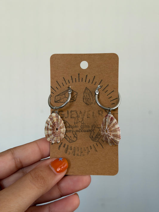 Shell hoop earrings
