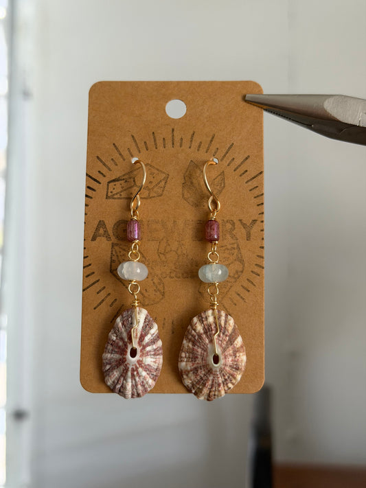 Shell earrings