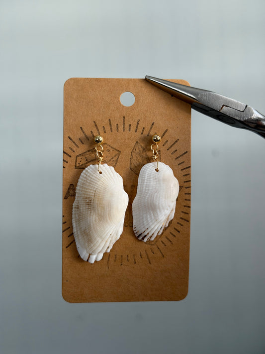 Shell stud earrings